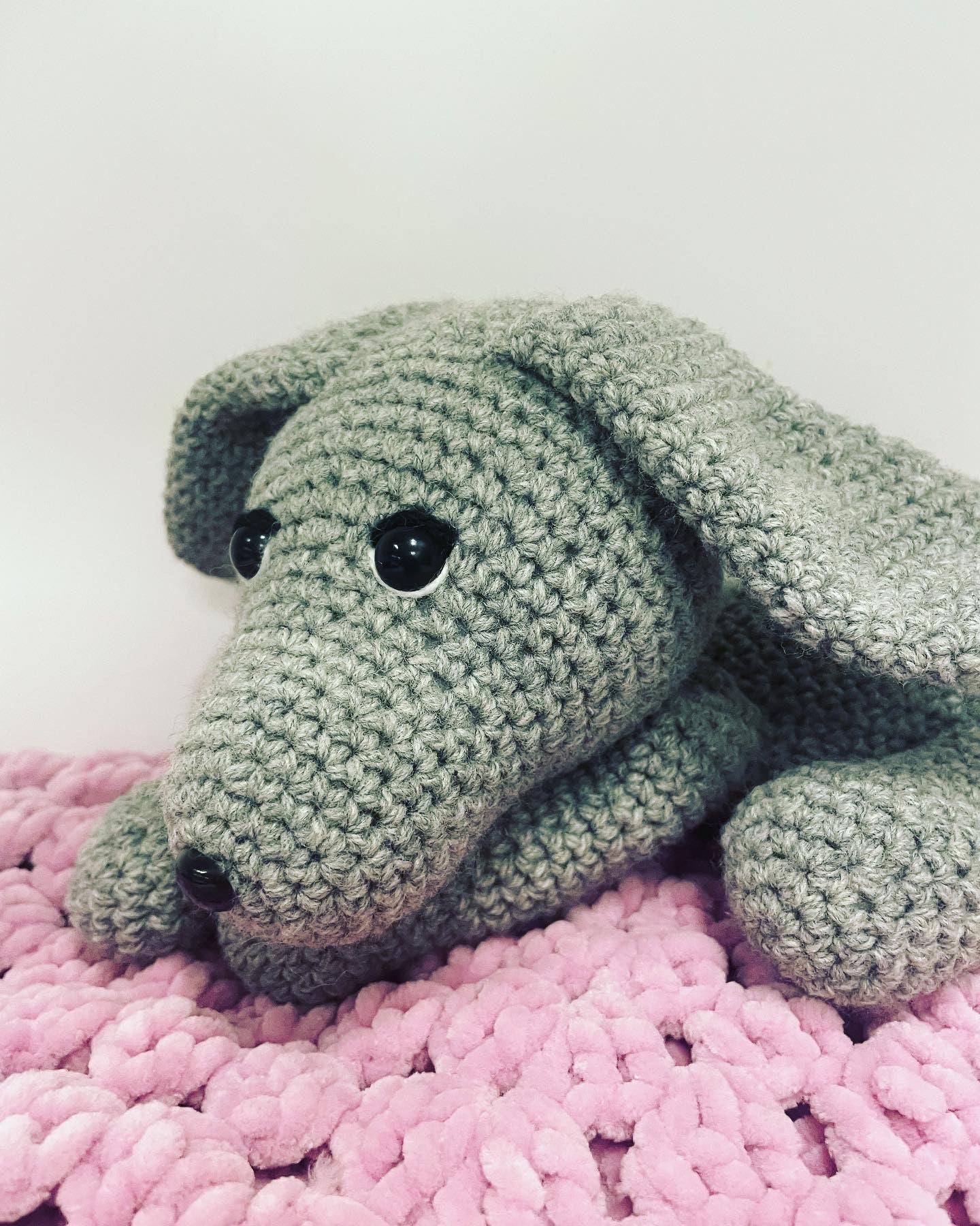 Cagnolino