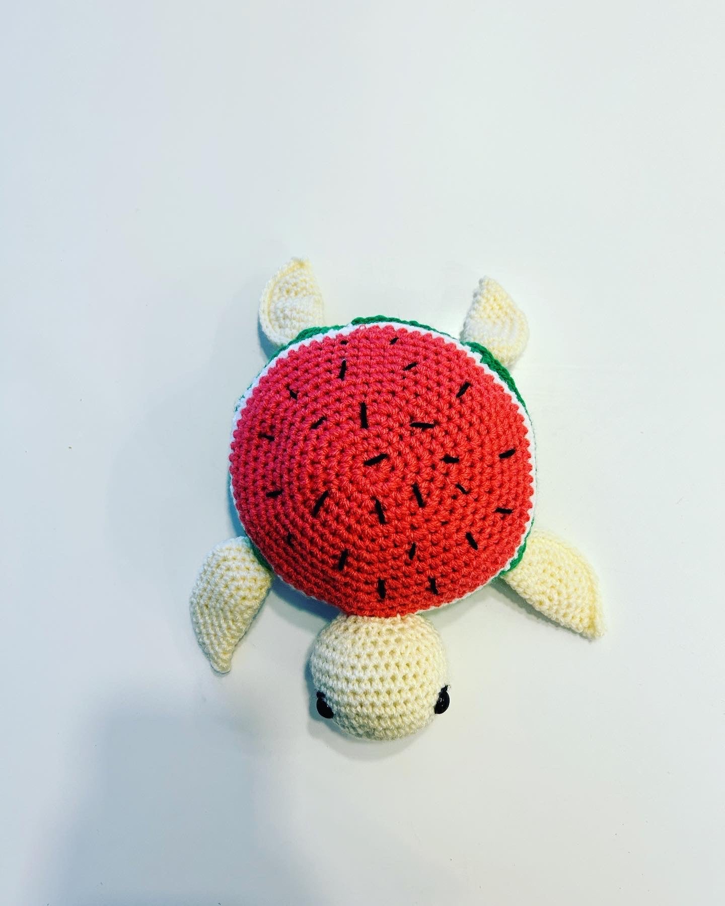 Tartaruga anguria