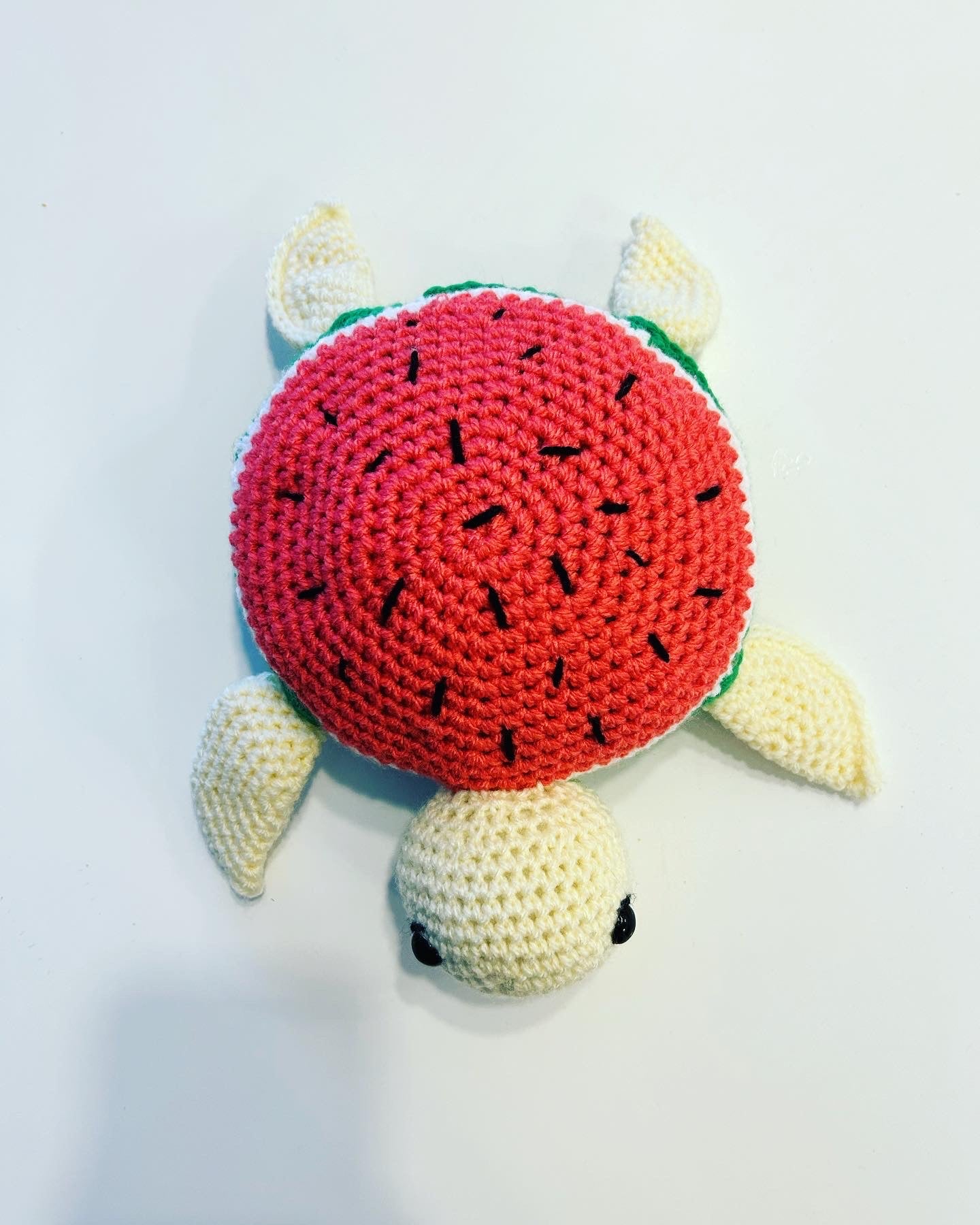 Tartaruga anguria