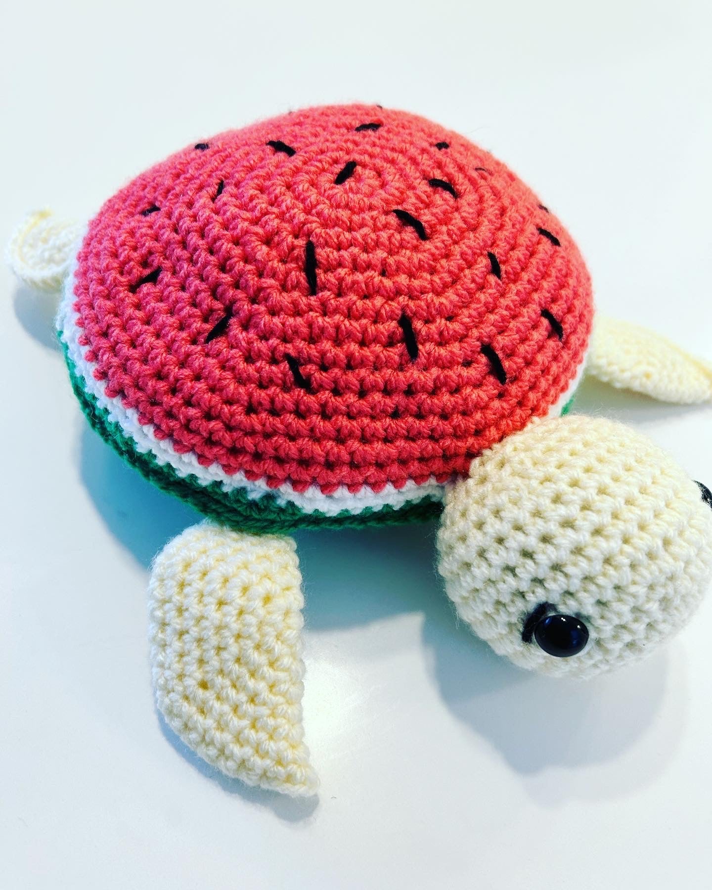 Tartaruga anguria