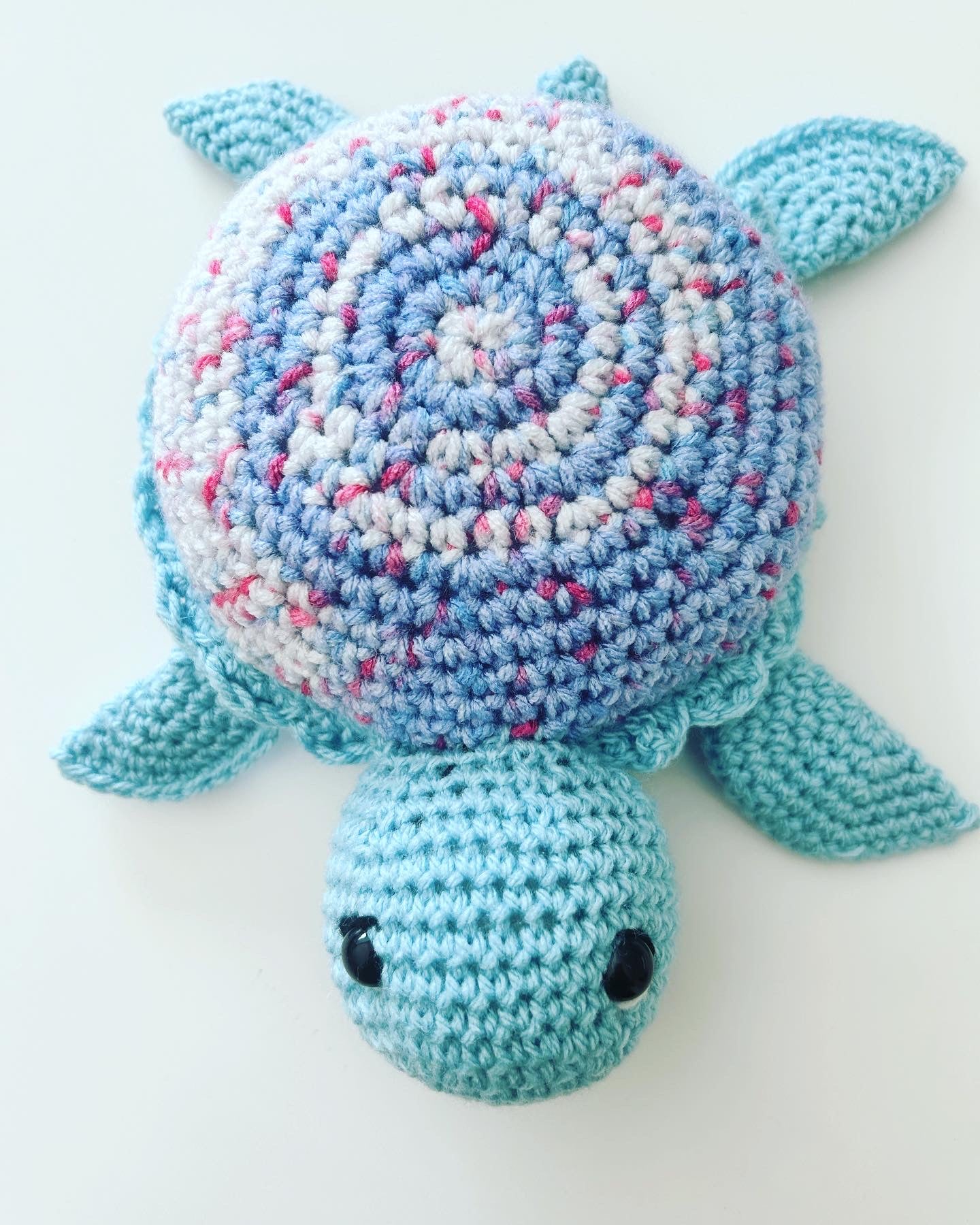 Tartaruga azzurra
