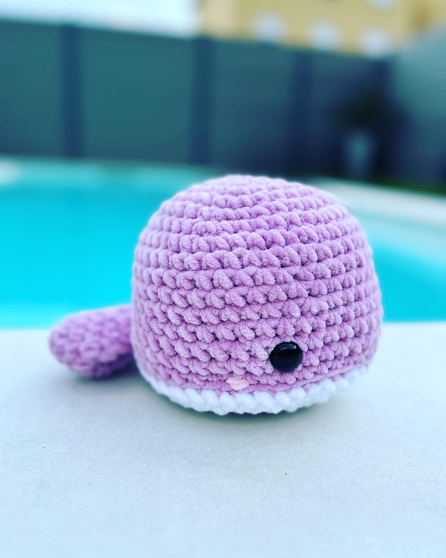 Balena viola