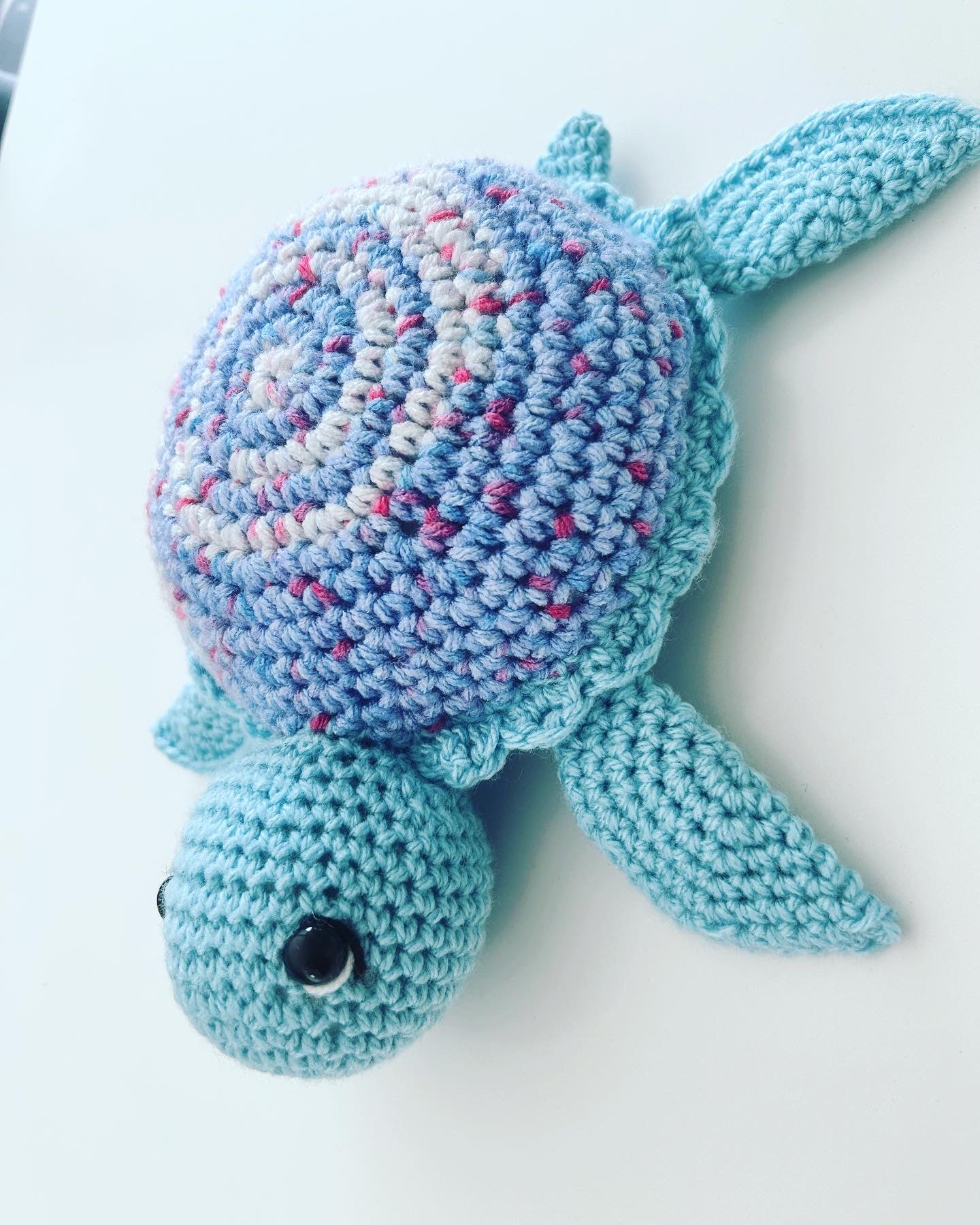 Tartaruga azzurra