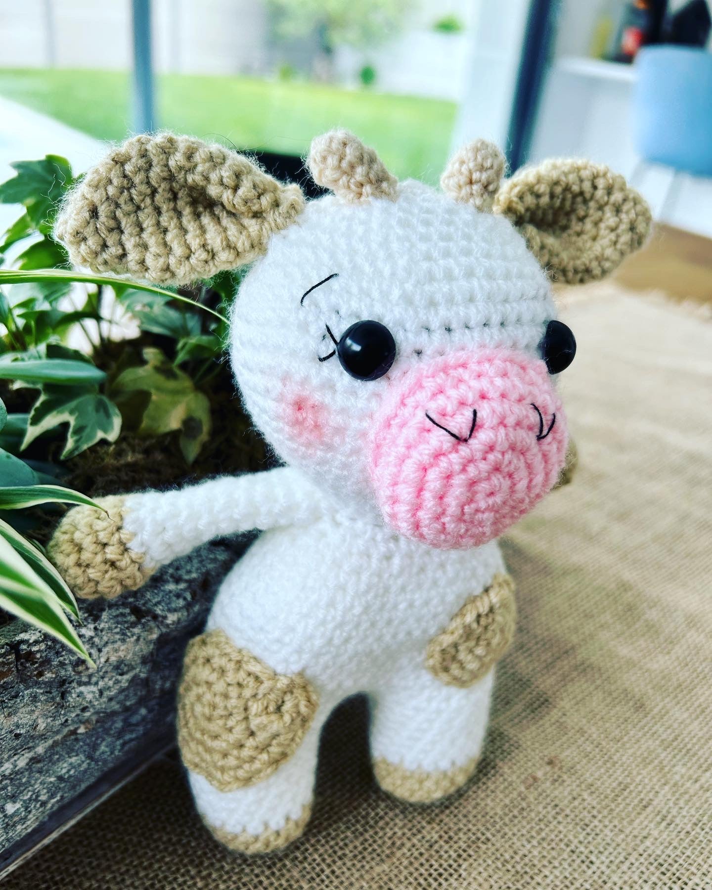 Mucca