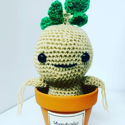 Mandragola