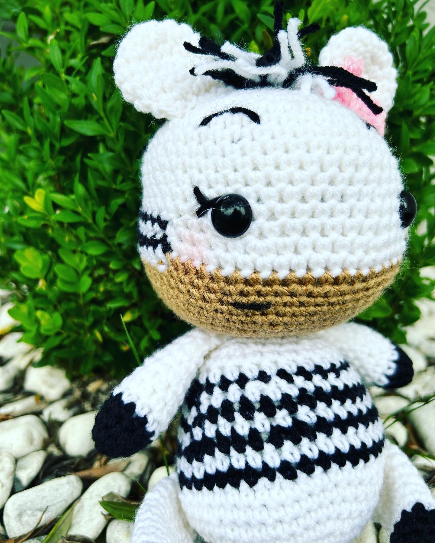 Zebra