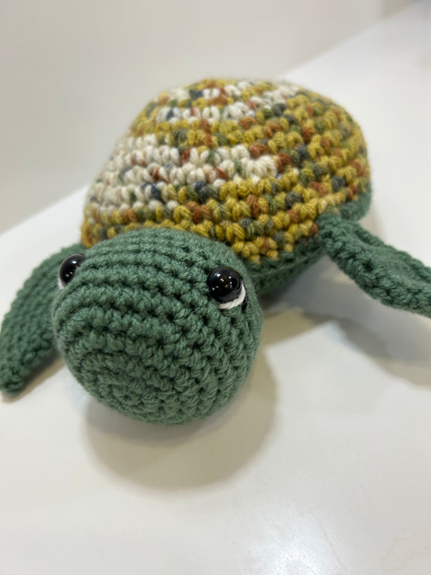 Tartaruga