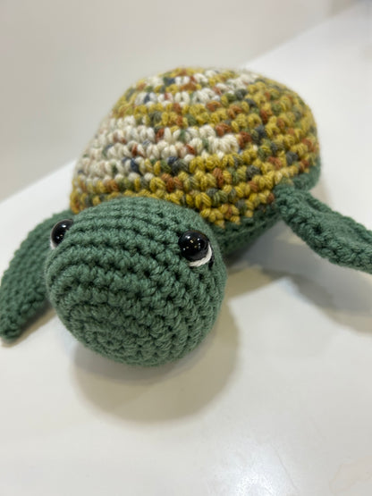 Tartaruga