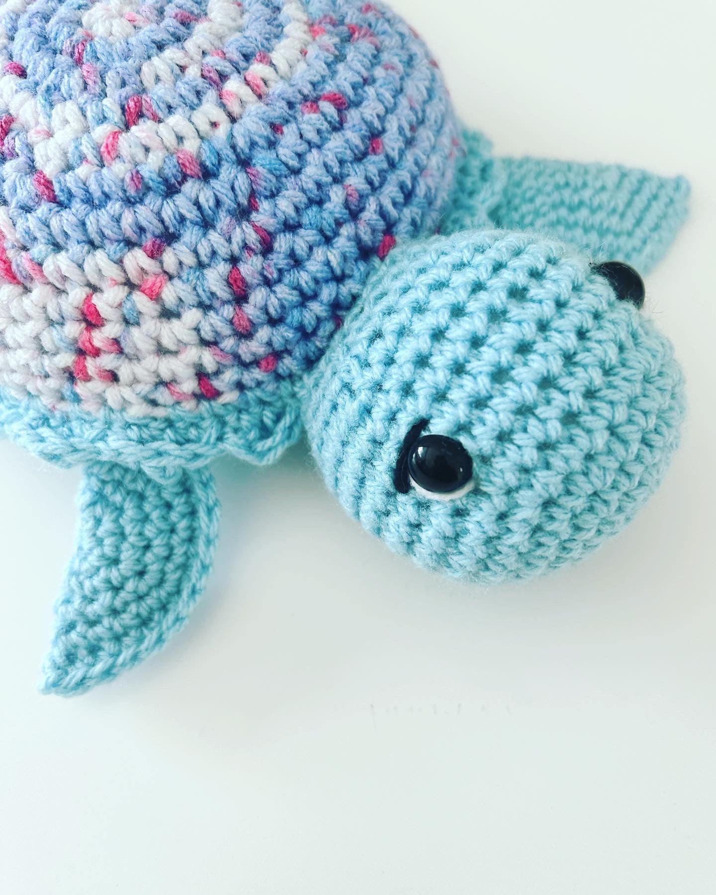 Tartaruga azzurra